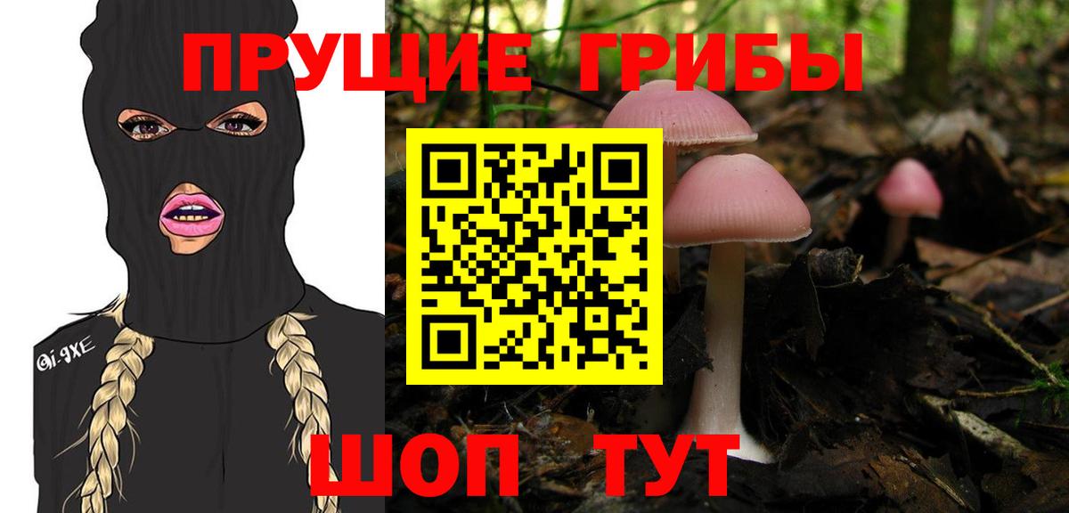 Галлюциногенные грибы GOLDEN TEACHER Шатура